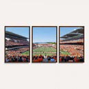 Oregon State Beavers Football Team Print - Corvallis Reser