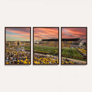 University of Wyoming Cowboys Football Team Print - Laramie