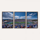 Air Force Falcons Football Team Print - Colorado Springs
