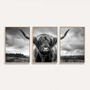 Scottish Cow Wall Art Canvas Print | Longhorn Wall Art |