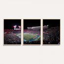 Ben Hill Griffin Stadium Night Game Triple Canvas Wall Art -