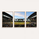 Arizona Diamondbacks Team Print - Phoenix Chase Field