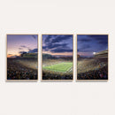 Notre Dame Fighting Irish Football Team Print - Notre Dame