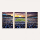 Kroger Field Wall Art Print - Kentucky Stadium Wall Art