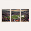Chicago Bears Soldiers Field Wall Art Canvas Print – Framed