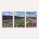 Georgia Bulldogs Stadium Wall Art Canvas Print, Sanford