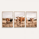 Texas Longhorn Cattle Wall Art Canvas Print, Sepia Western