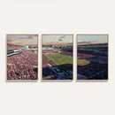 Donald W. Reynolds Razorback Stadium Wall Art Canvas Print –