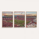 Donald W. Reynolds Razorback Stadium Wall Art Canvas Print –