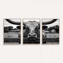 Black White Texas Longhorn Bull Canvas Wall Art, Western Ranch Cattle Photography Print, Rustic Farmhouse Cowboy Decor Artwork