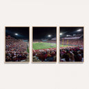 Mississippi State Bulldogs Stadium Wall Art Canvas Print –