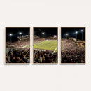 Washington-Grizzly Stadium Canvas Wall Art – Exciting Game