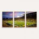 University of Oregon Ducks Football Team Print - Eugene