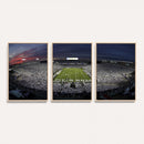Penn State University Nittany Lions Football Team Print -