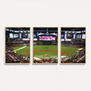 Arizona Diamondbacks Baseball Team Print - Phoenix Chase