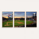Citizens Bank Park Philadelphia Phillies Wall Art Canvas |