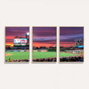 Philadelphia Phillies Baseball Team Print - Philadelphia