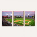 Chicago White Sox Baseball Team Print Canvas- Guaranteed