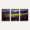 Texas A&M University Aggies Football Team Print - College