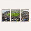 Boca Juniors Soccer Team Print Wall Art - Buenos Aires