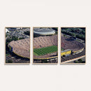 Michigan Wolverines Football Team Print - Ann Arbor Michigan