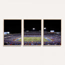 Buffalo Bills Wall Art - Buffalo Bills Stadium Canvas Print,