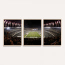 Eagles Field Stadium Wall Art - Philadelphia Eagles Football