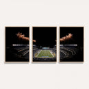 Eagles Field Stadium Wall Art | Philadelphia Eagles Football