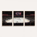 T Mobile Arena Paradise Nevada Vegas Golden Knights Ice
