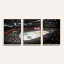 Vaudoise Lausanne Ice Hockey Arena Stadium Wall Art Canvas,