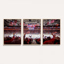 Carolina Hurricanes Ice Hockey Stadium Wall Art, Carolina