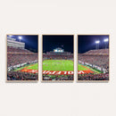 NC State Wolfpack Canvas Print - Raleigh Carter-Finley