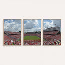 NC State Wolfpack Football Team Print Canvas- Raleigh