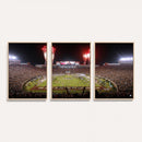 Framed Florida State Seminoles Football Team Print -