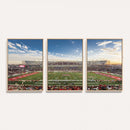 Framed Houston Cougars Football Team Print - Houston TDECU