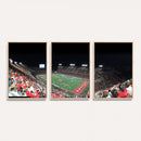 Houston Cougars Football Team Print - Houston TDECU Stadium