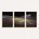 Wisconsin Badgers Football Team Print - Madison Camp Randall