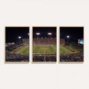 Demon Deacons Print Canvas, Football Team Print -