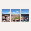 University of Alabama Crimson Tide Print Wall Art -