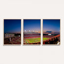 Wolfpack Football Team Wall Art Print - Raleigh