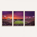East Carolina University Pirates Football Print Canvas-