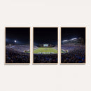 Duke University Blue Devils Football Team Print - Durham