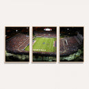 Florida Atlantic University Owls Football Team Print - Boca