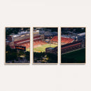 University of Illinois Fighting Illini Football Team Print -