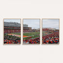 University of Illinois Fighting Illini Football Team Print -