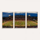 University of Illinois Fighting Illini Football Team Print -