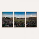 University of Charlotte 49ers Football Team Print -