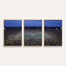 University of Michigan Wolverines Football Team Print - Ann