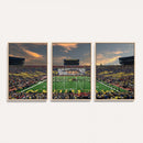 University of Michigan Wolverines Print Canvas, Football