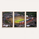 University of Michigan Wolverines Football Team Print - Ann